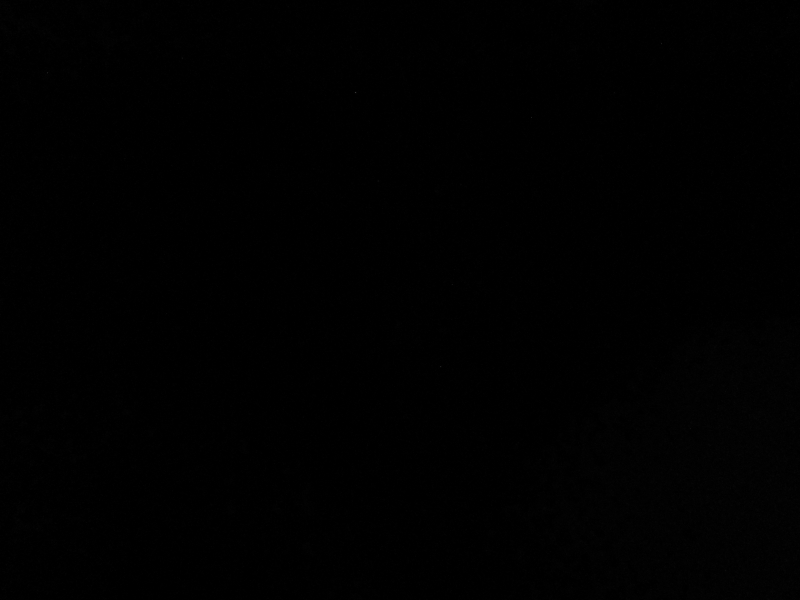 IMG_2233